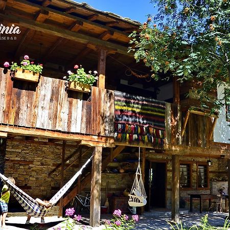 Kalinia Guesthouse B&B Kovačevica Extérieur photo