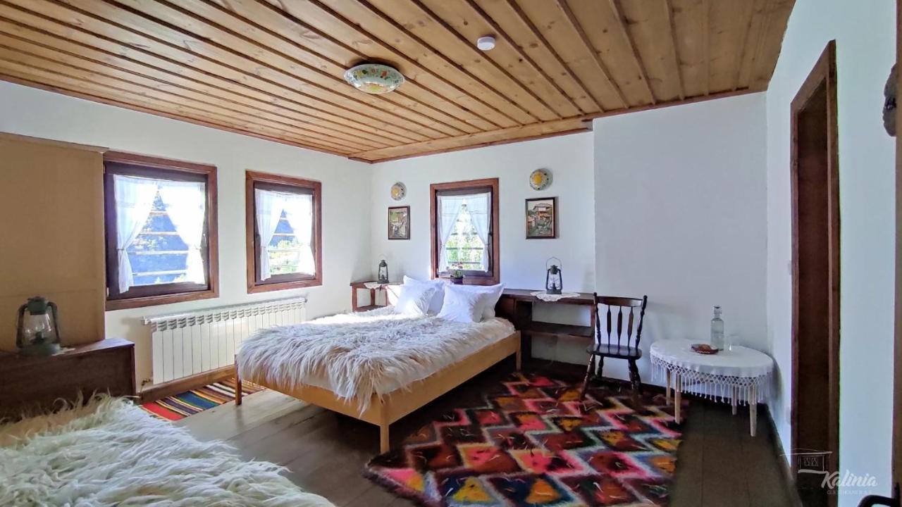 Kalinia Guesthouse B&B Kovačevica Extérieur photo