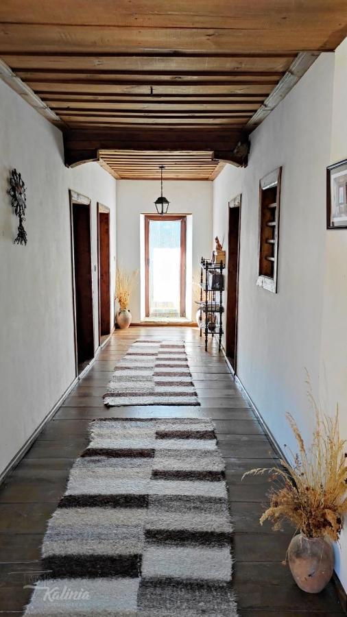 Kalinia Guesthouse B&B Kovačevica Extérieur photo