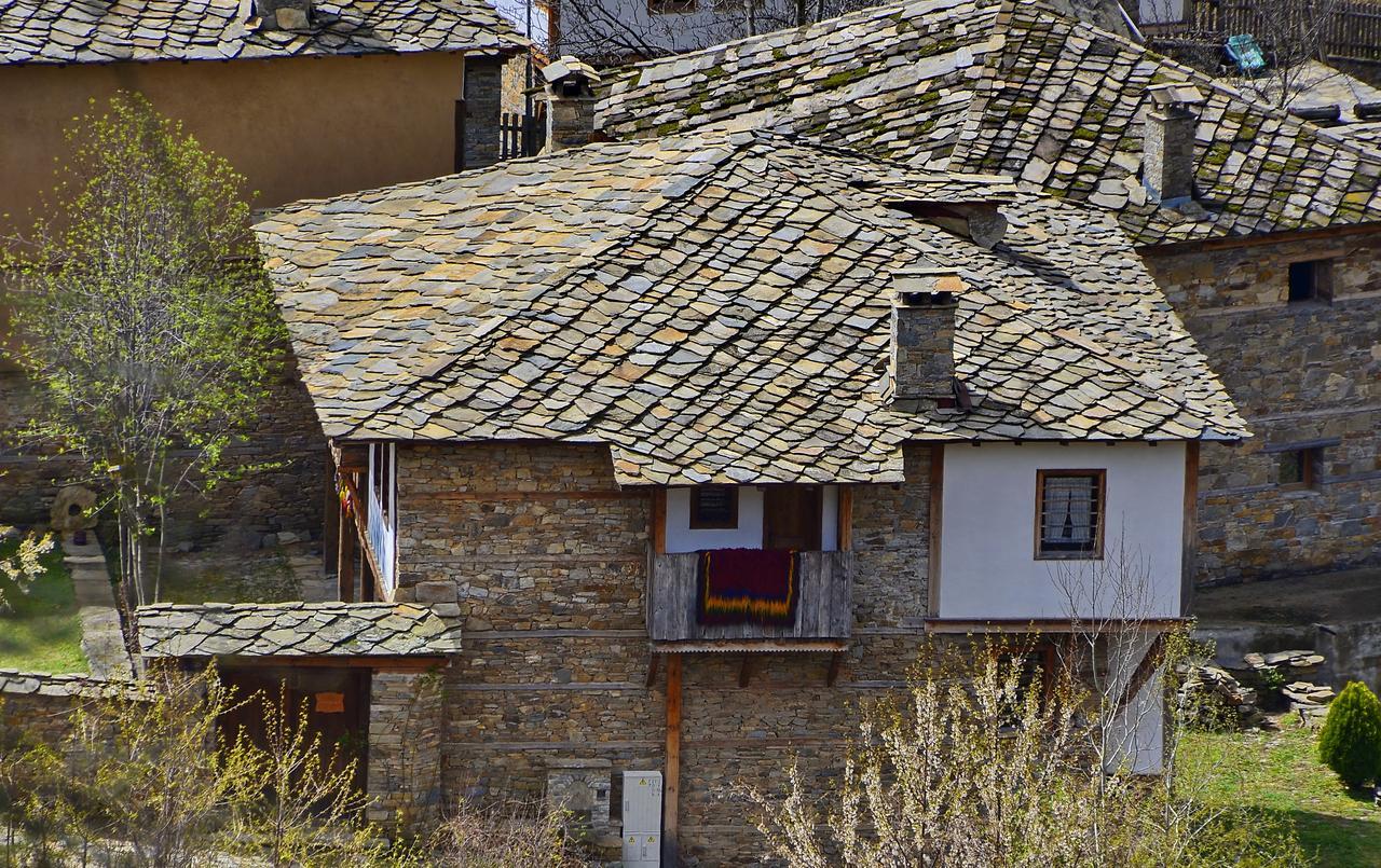 Kalinia Guesthouse B&B Kovačevica Extérieur photo