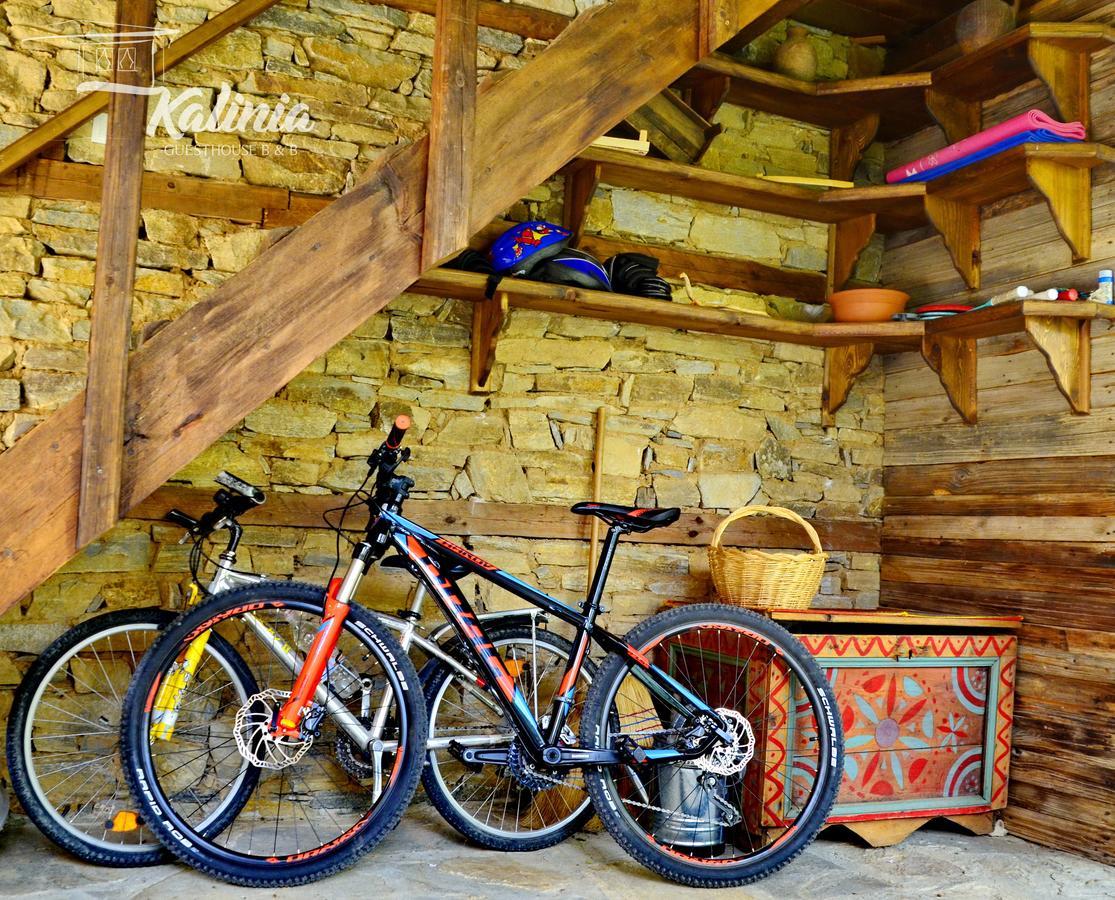 Kalinia Guesthouse B&B Kovačevica Extérieur photo