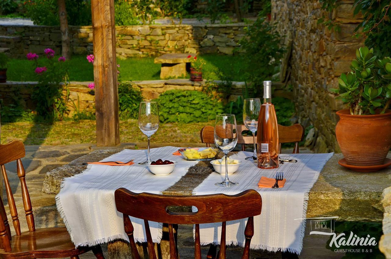 Kalinia Guesthouse B&B Kovačevica Extérieur photo