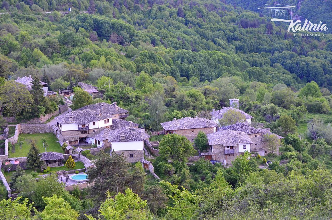 Kalinia Guesthouse B&B Kovačevica Extérieur photo