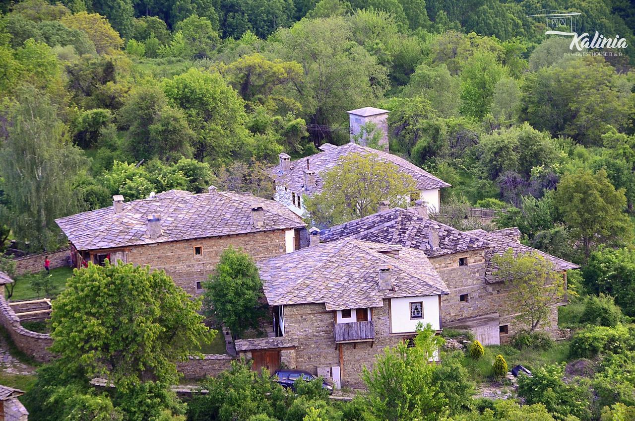 Kalinia Guesthouse B&B Kovačevica Extérieur photo