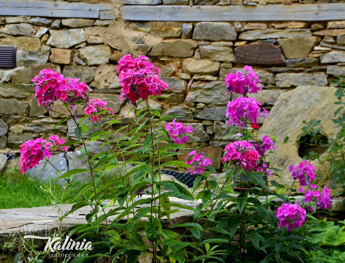 Kalinia Guesthouse B&B Kovačevica Extérieur photo