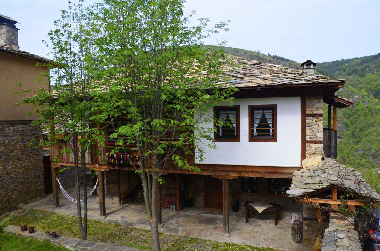 Kalinia Guesthouse B&B Kovačevica Extérieur photo