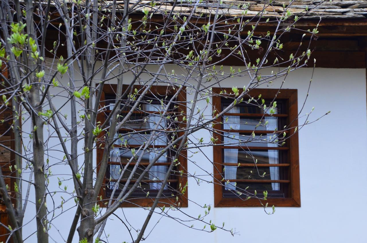 Kalinia Guesthouse B&B Kovačevica Extérieur photo