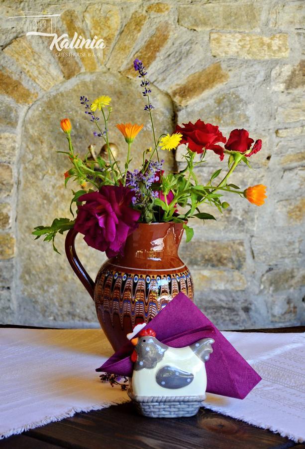 Kalinia Guesthouse B&B Kovačevica Extérieur photo