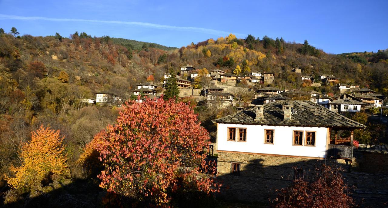 Kalinia Guesthouse B&B Kovačevica Extérieur photo