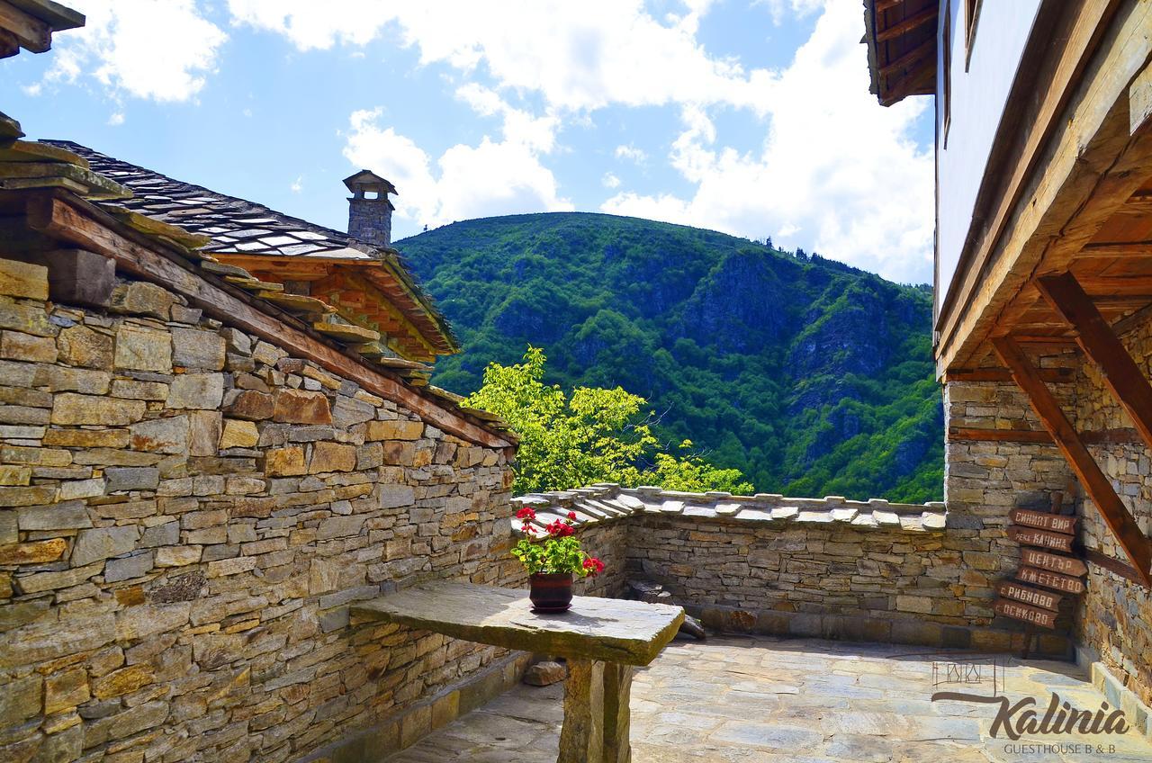 Kalinia Guesthouse B&B Kovačevica Extérieur photo