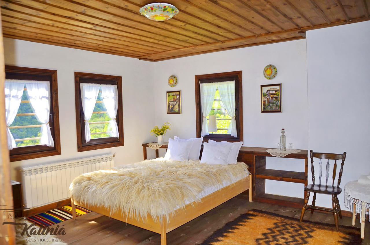 Kalinia Guesthouse B&B Kovačevica Extérieur photo