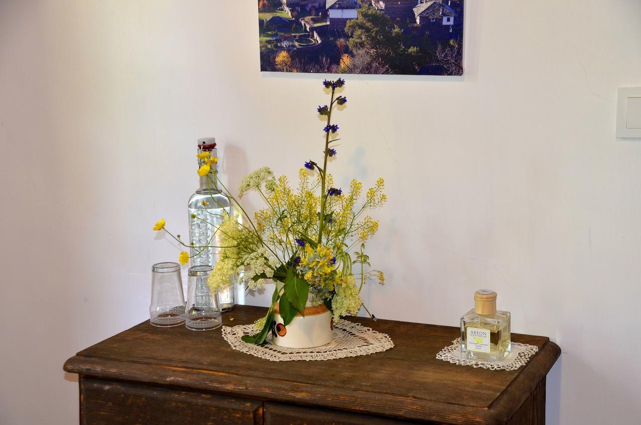 Kalinia Guesthouse B&B Kovačevica Extérieur photo