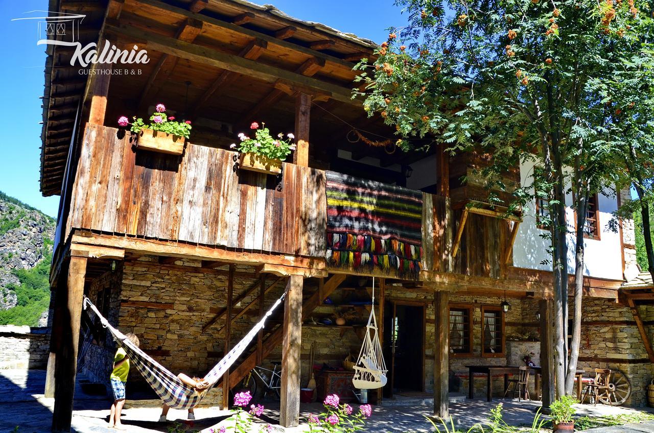Kalinia Guesthouse B&B Kovačevica Extérieur photo