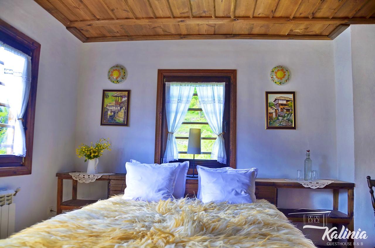 Kalinia Guesthouse B&B Kovačevica Extérieur photo