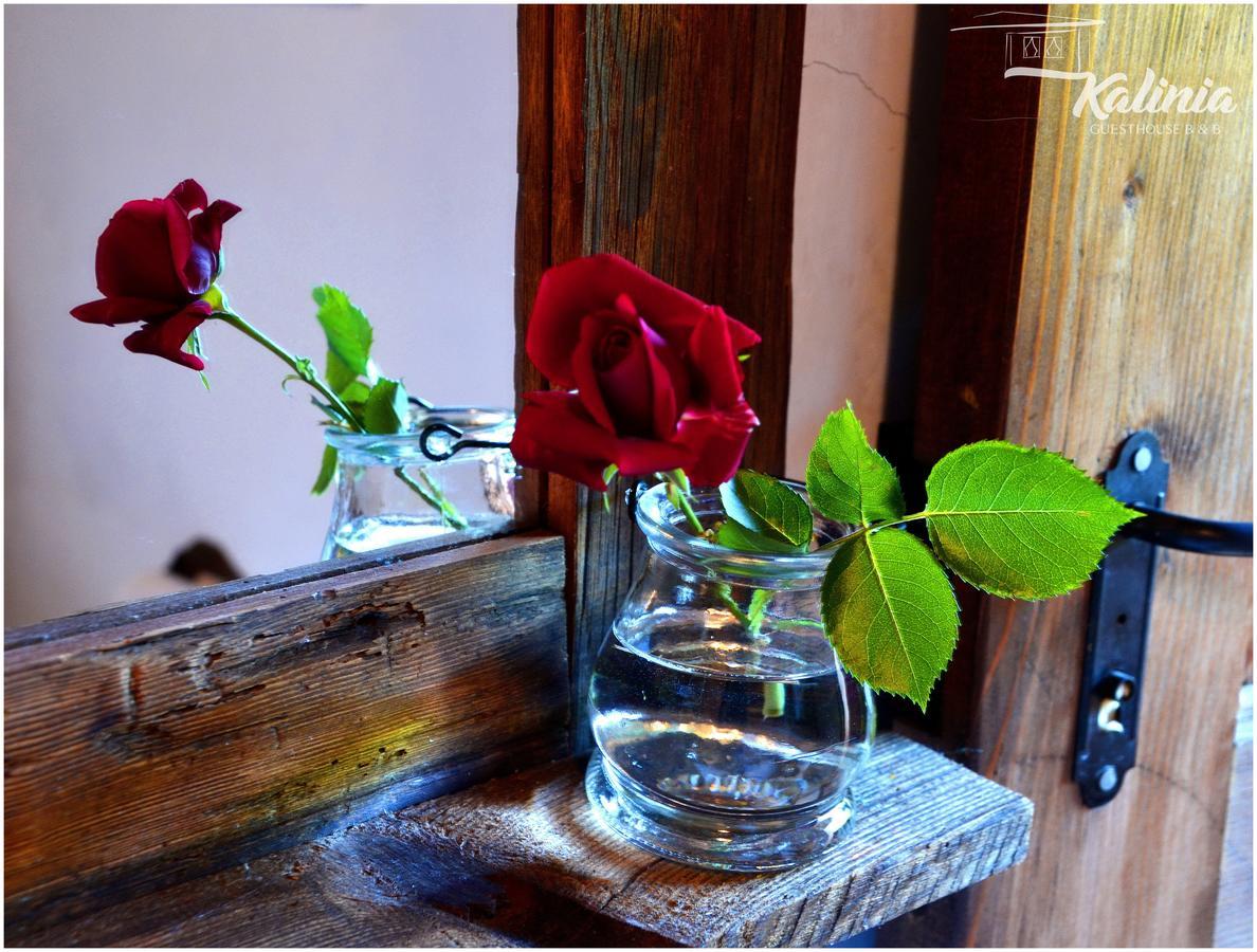 Kalinia Guesthouse B&B Kovačevica Extérieur photo