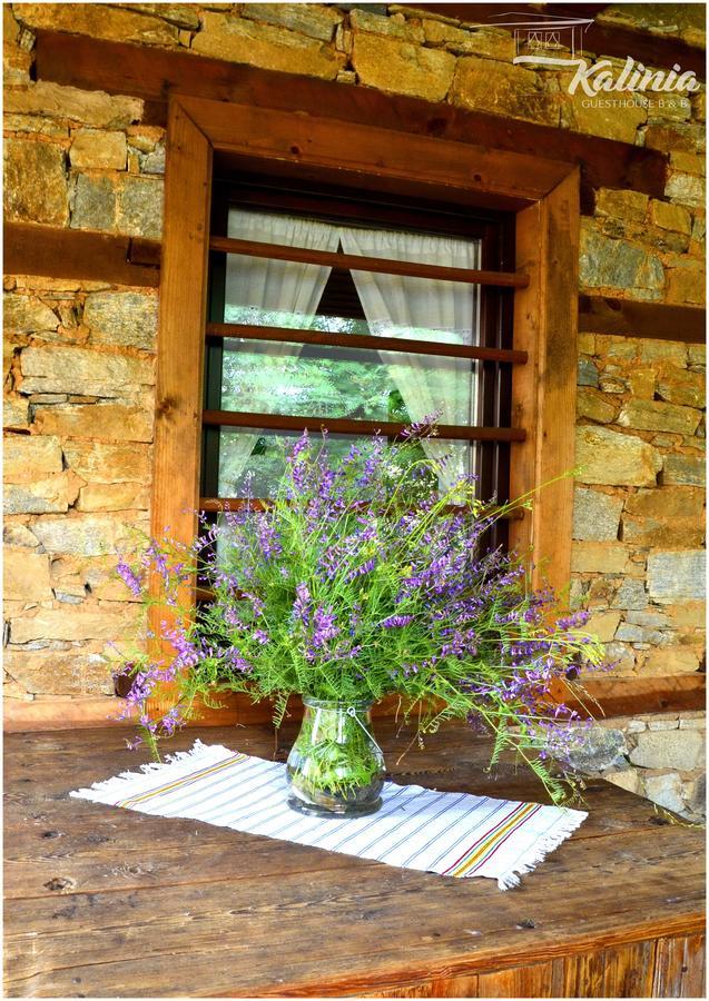 Kalinia Guesthouse B&B Kovačevica Extérieur photo
